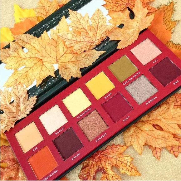 Ace Beaute Classical Paradise EyeShadow Palette BNIB - Picture 10 of 16